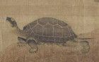 很多人不知道：人體“精氣神”的秘密