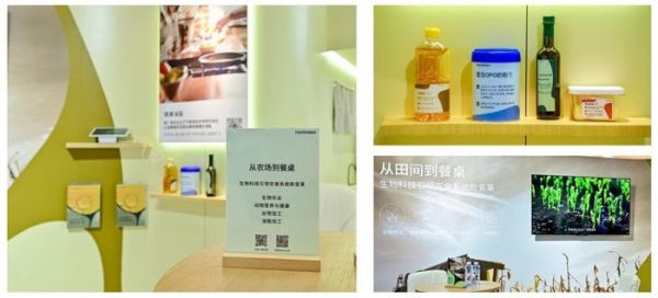 图片包含 图形用户界面描述已自动生成