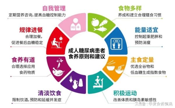 2024精準(zhǔn)免費健康資源大全：健康管理與知識指南