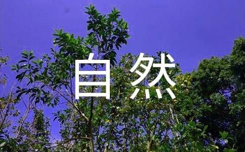 自然保护区的三区是指哪三区