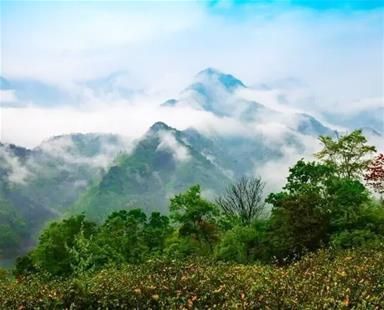 崩尖子自然保護(hù)區(qū)