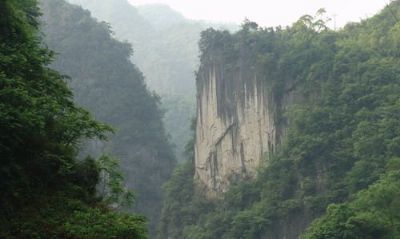 大巴山國(guó)家級(jí)自然保護(hù)區(qū)