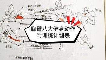 增肌減脂改造計(jì)劃，胸臂健身訓(xùn)練必備8大動(dòng)作及個(gè)人心得（附訓(xùn)練記錄表）