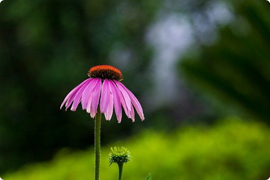 音乐胎教应该要小心3大误区常识网,常识坊