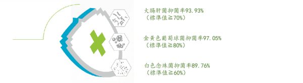 儿童科学除菌安心之选 ——巴拉巴拉抗菌T恤