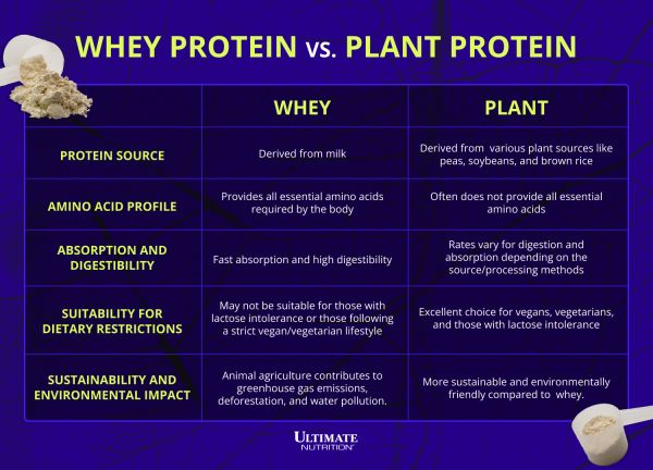 Whey Protein vs Plant Protein