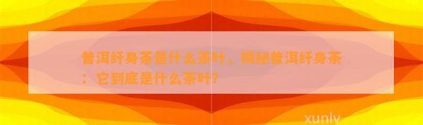普洱纤身茶是什么茶叶，揭秘普洱纤身茶：它到底是什么茶叶？