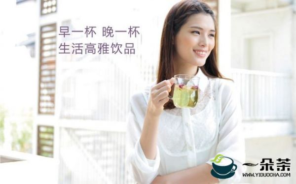 喝菊花茶能减肥吗|哪种花茶减肥效果好(菊花茶能减肥么)