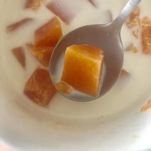快速早餐-低卡健康的木瓜燉牛奶100大卡左右的做法 步驟6