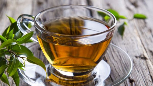 大肚子茶的注意事項