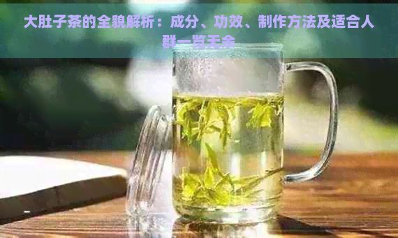 大肚子茶的全貌解析：成分、功效、制作方法及适合人群一览无余