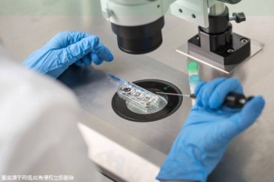 〖遵义三代试管费用解析-步骤总共分为八大环节!〗