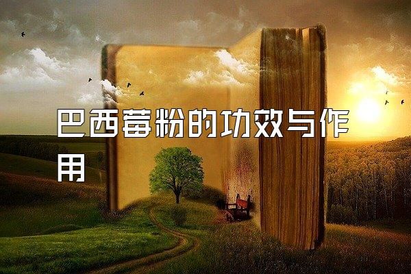 巴西莓粉的功效与作用