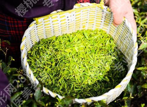 大印象減肥茶副作用有哪些？提前預(yù)覽，以備不時(shí)之需