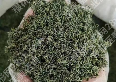 大印象減肥茶副作用有哪些？提前預(yù)覽，以備不時(shí)之需