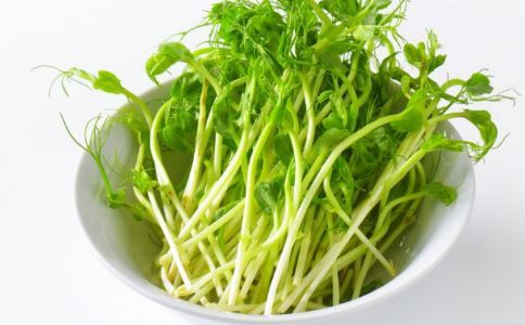 痰濕體質如何調理 痰濕體質怎么調理好 痰濕體質吃什么調理