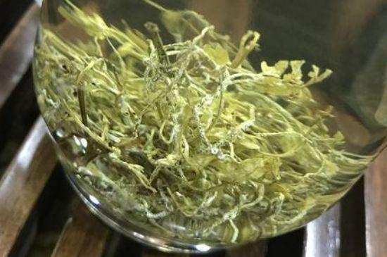 藤茶可以减肥吗，藤茶喝了有减肥吗？