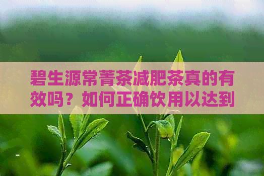 碧生源常菁茶减肥茶真的有效吗？如何正确饮用以达到减肥效果？