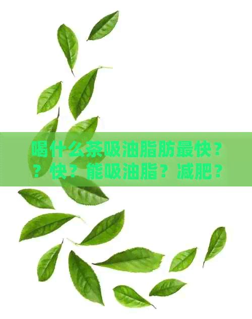 喝什么茶吸油脂肪最快？？快？能吸油脂？减肥？