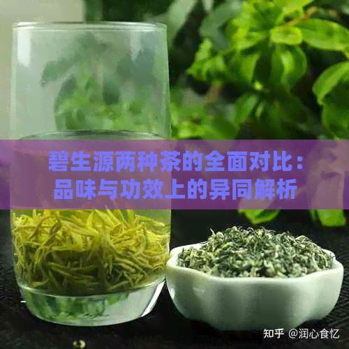 碧生源两种茶的全面对比：品味与功效上的异同解析