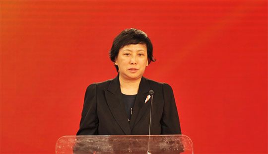 王桥：健康、保险和养老三方融合 托起中国养老的蓝天
