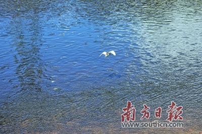 观澜河.jpg