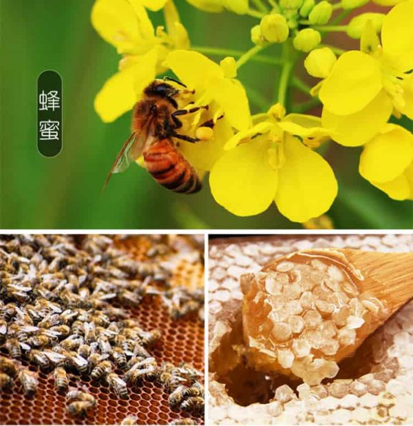 【收藏】每天一杯蜂蜜綠茶,健康又減肥