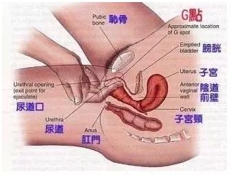 春雨医生