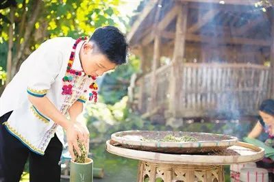赵腊退将酸茶倒入竹筒准备发酵。杨帮庆摄
