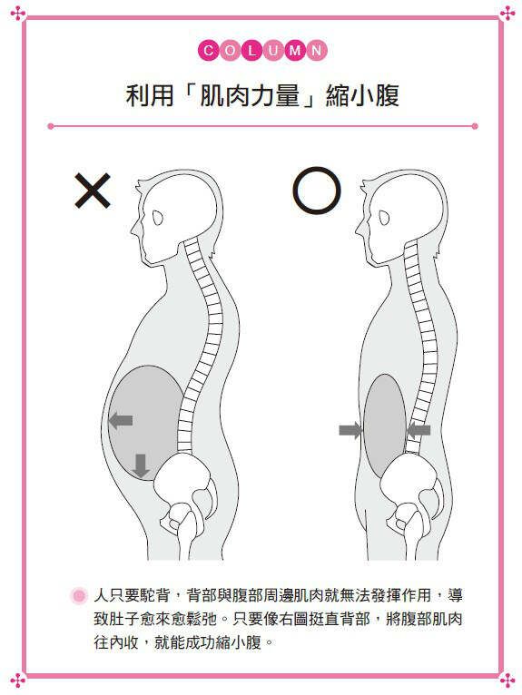 30秒瘦肚操（转载）