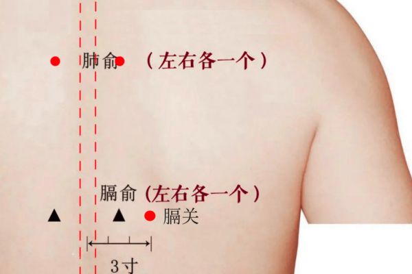 肺俞、膈俞、膈关位置图