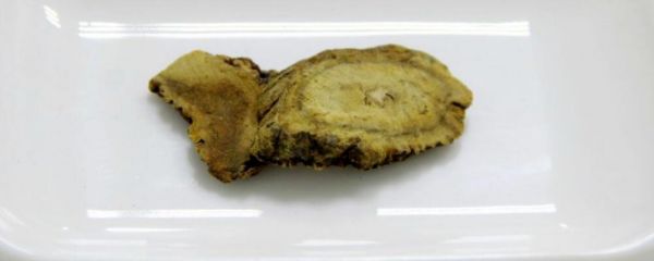 大黄的功效 大黄的作用 大黄