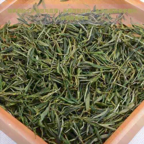 茶多酚的十大功效与应用：从预防到治疗，全方位解析茶多酚对人体的重要作用