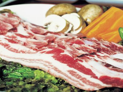 有机肉种类