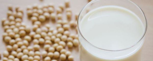 吃什么可以減肥 哪些食物可以減肥 食物減肥法