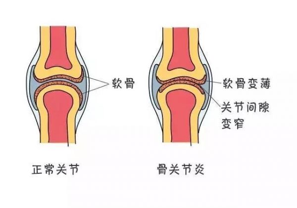 点击查看原始图片