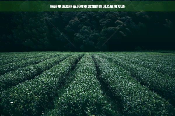 喝碧生源减肥茶后体重增加的原因及解决方法