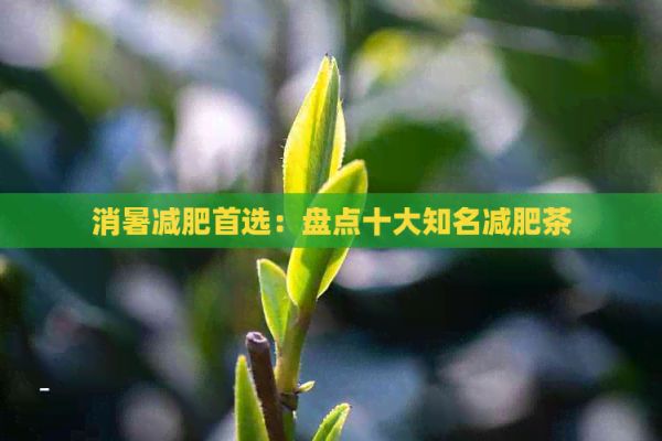 消暑减肥首选：盘点十大知名减肥茶