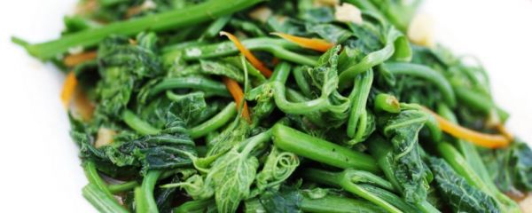 減肥蔬菜的種類和特點(diǎn) 減肥蔬菜排行榜前十名 什么蔬菜減肥