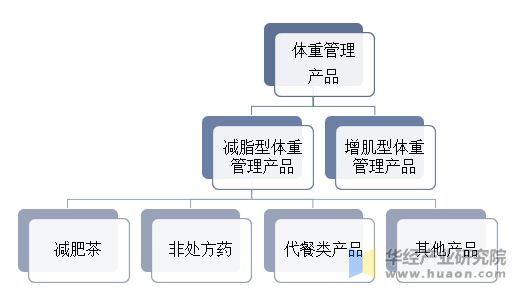 體重管理產(chǎn)品分類