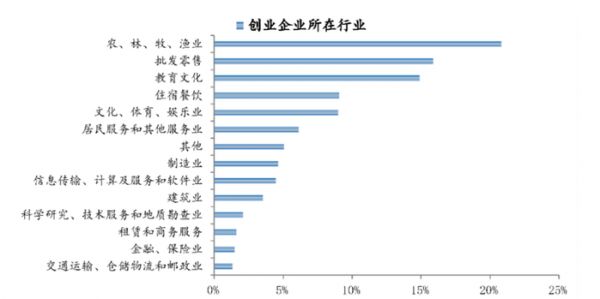 圖片來源:《中國(guó)青年創(chuàng)業(yè)發(fā)展報(bào)告(2021)》