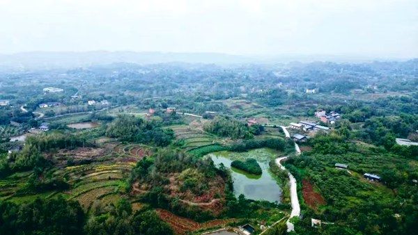 美麗新農(nóng)村。璧山區(qū)委宣傳部供圖