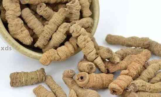 巴戟泡茶，提升男性活力：巴戟泡茶的健益處與制作方法