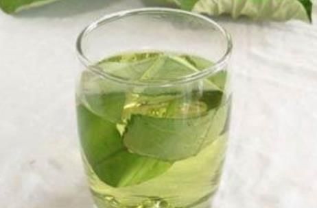 吉姆奈玛茶是什么茶 喝什么茶能治疗糖尿病