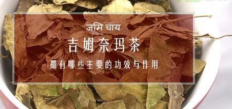 吉姆奈玛茶的减肥效果如何 都有哪些主要的功效与作用
