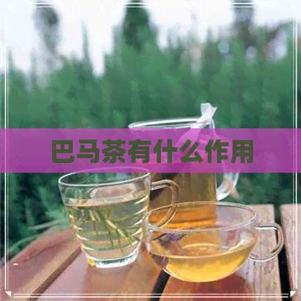 巴马茶有什么作用