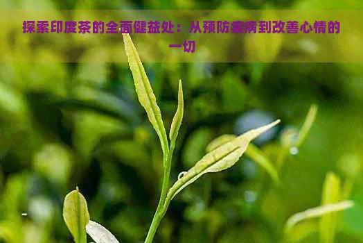 探索印度茶的全面健益處：從預(yù)防疾病到改善心情的一切