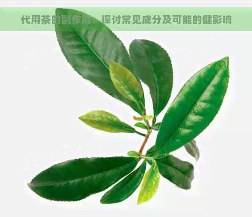代用茶的副作用：探討常見(jiàn)成分及可能的健影響