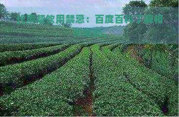 代用茶飲用禁忌：百度百科了解相關(guān)限制。