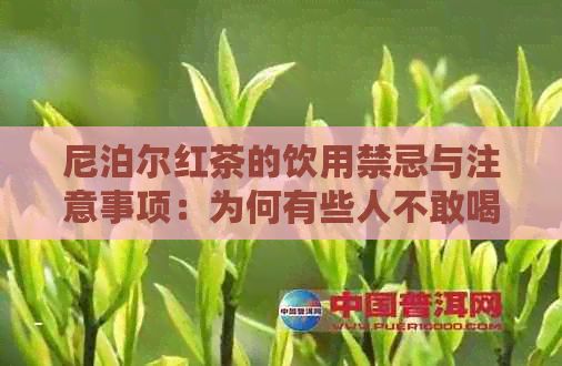 尼泊爾紅茶的飲用禁忌與注意事項(xiàng)：為何有些人不敢喝？如何正確品飲？